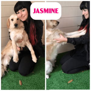 Jasmine