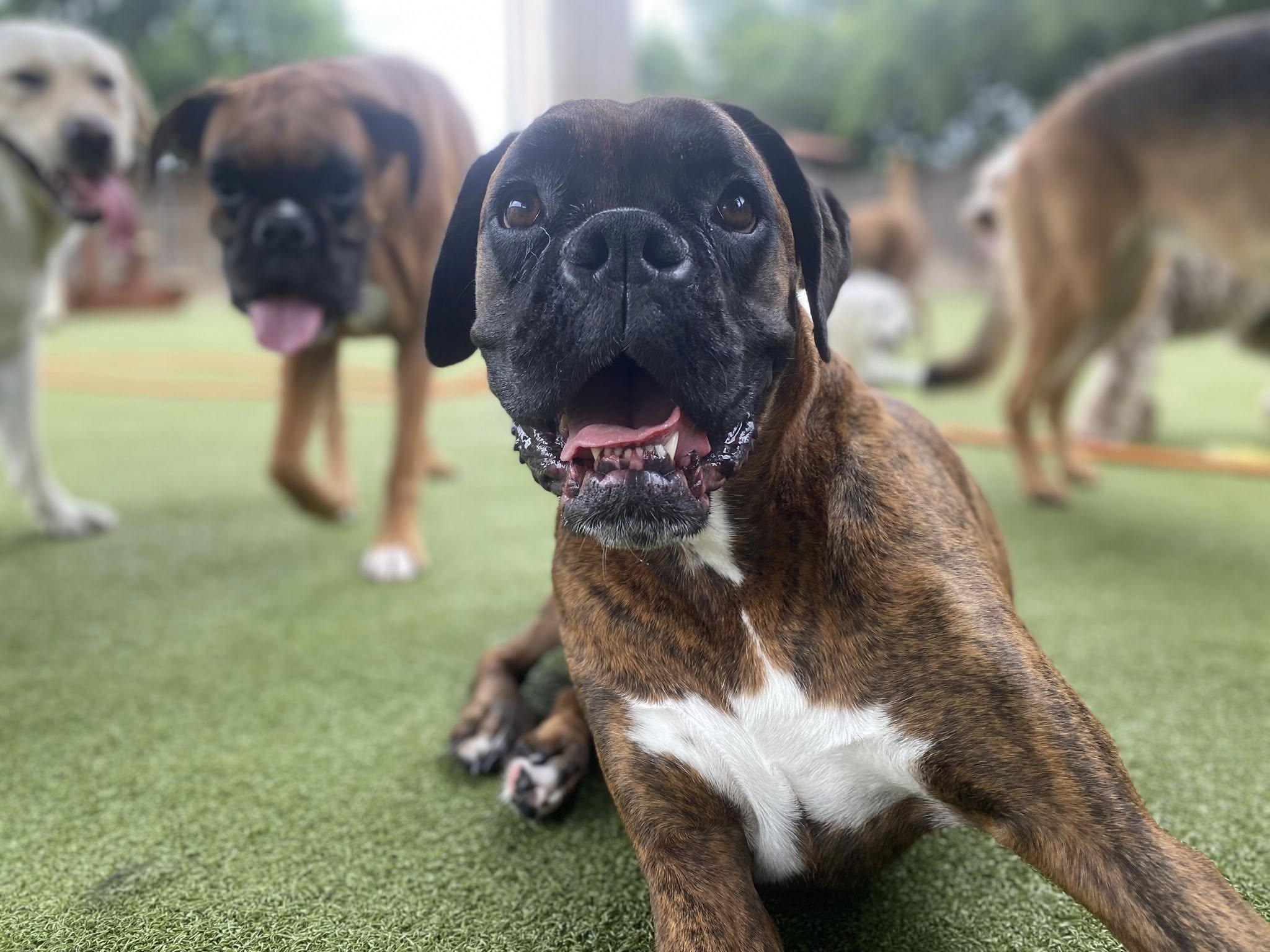 504875454_1139156174896134_624478180736427173_n