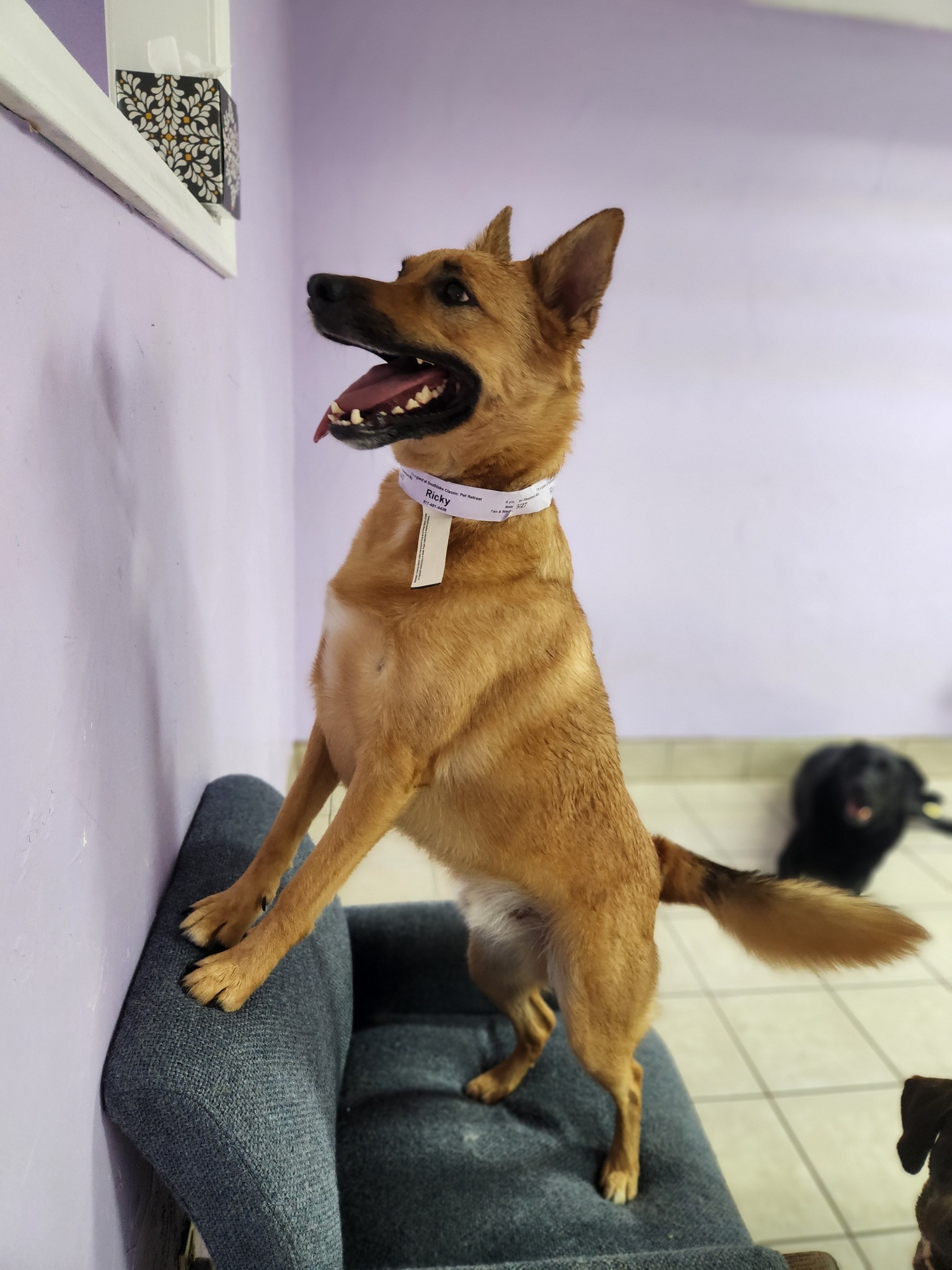 505135650_1136926325119119_2034535701487083182_n