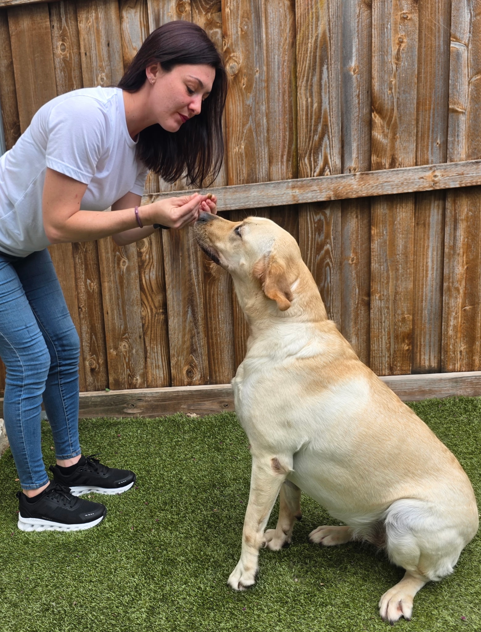 One-on-one training session at Southlake Classic Pet Retreat
