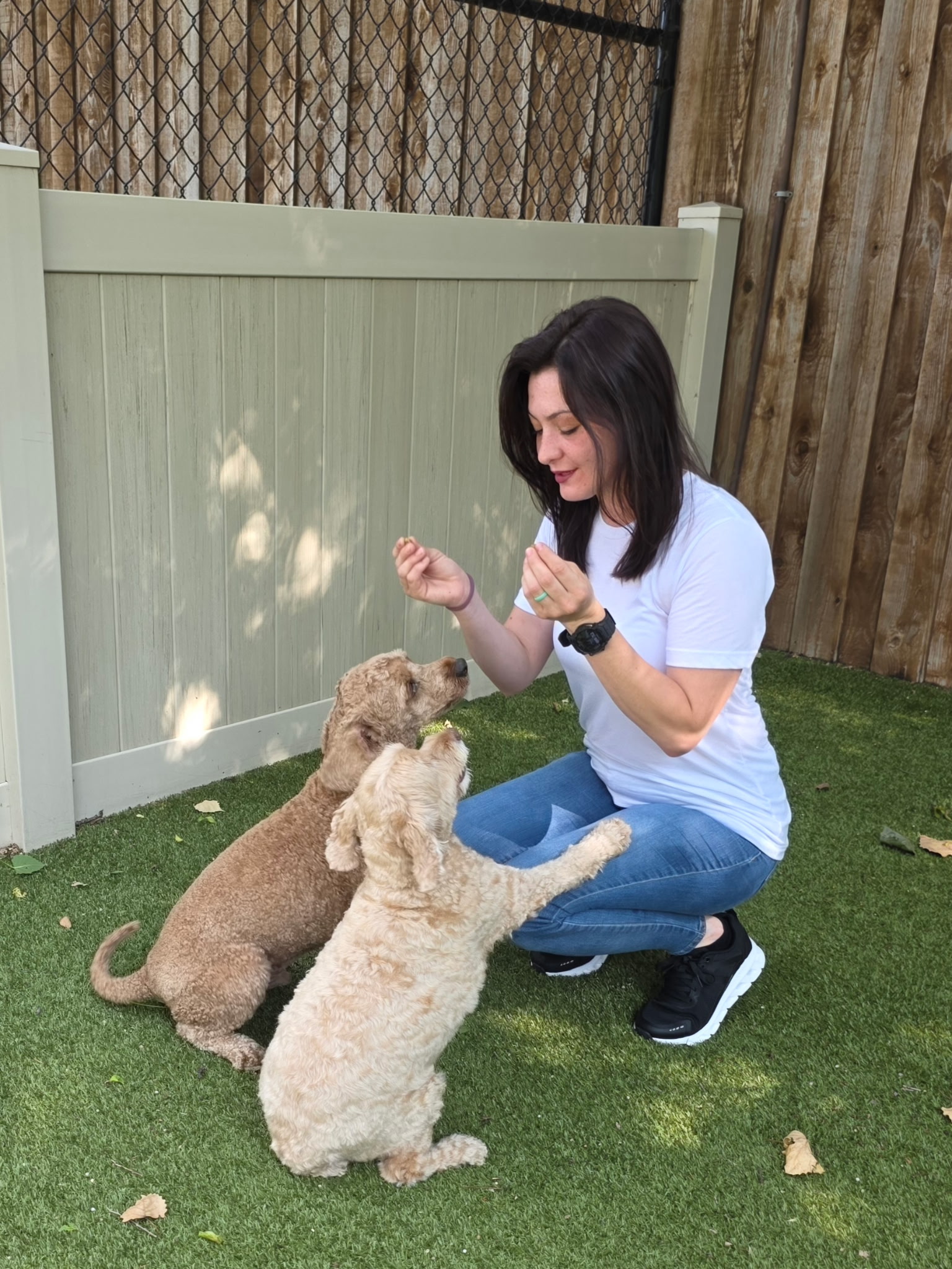Puppy training at Southlake Classic Pet Retreat