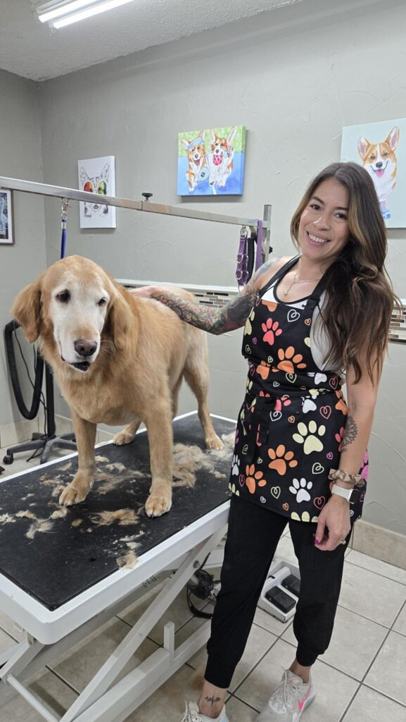 Groomer at Southlake Classic Pet Retreat with a golden retriever on the grooming table