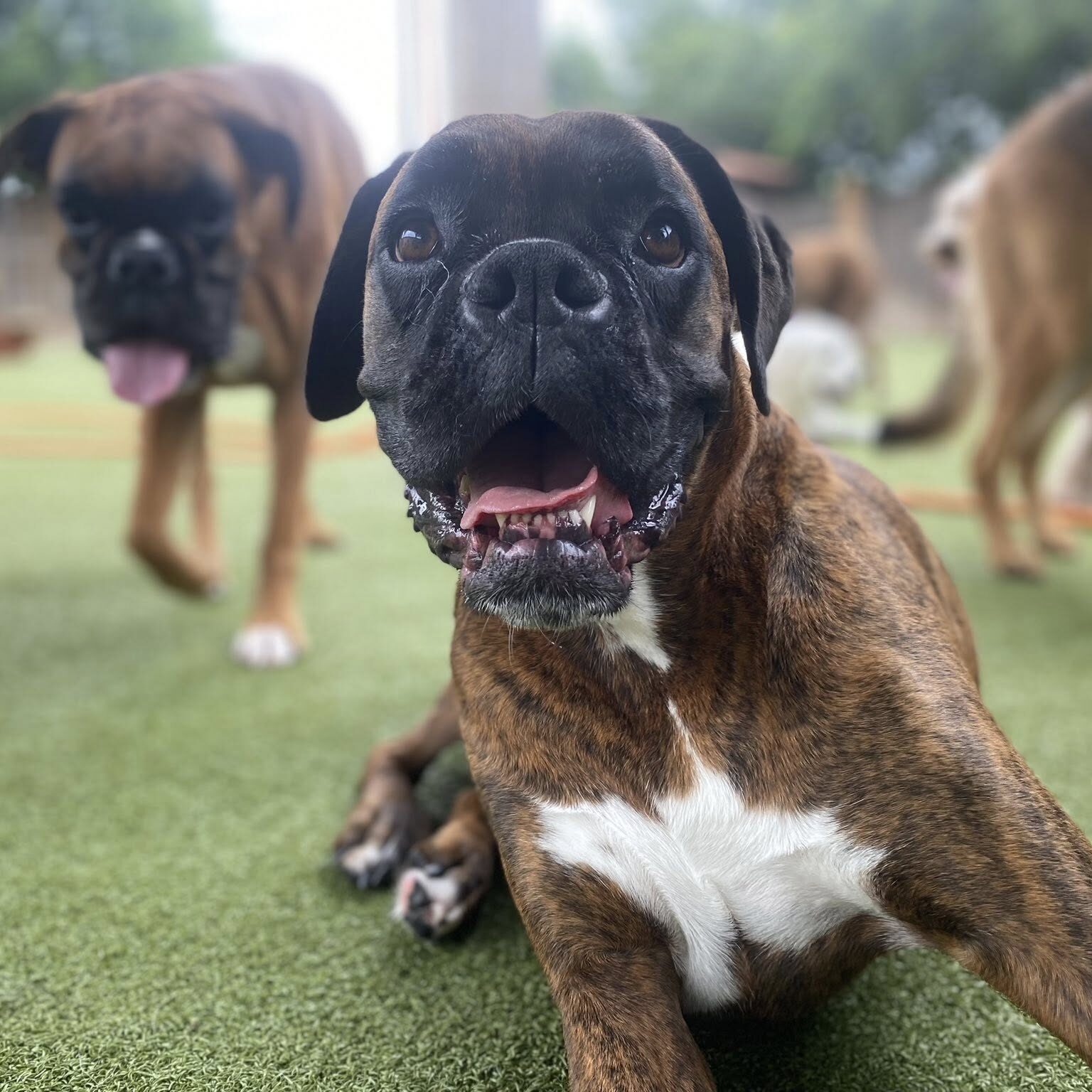 504875454_1139156174896134_624478180736427173_n