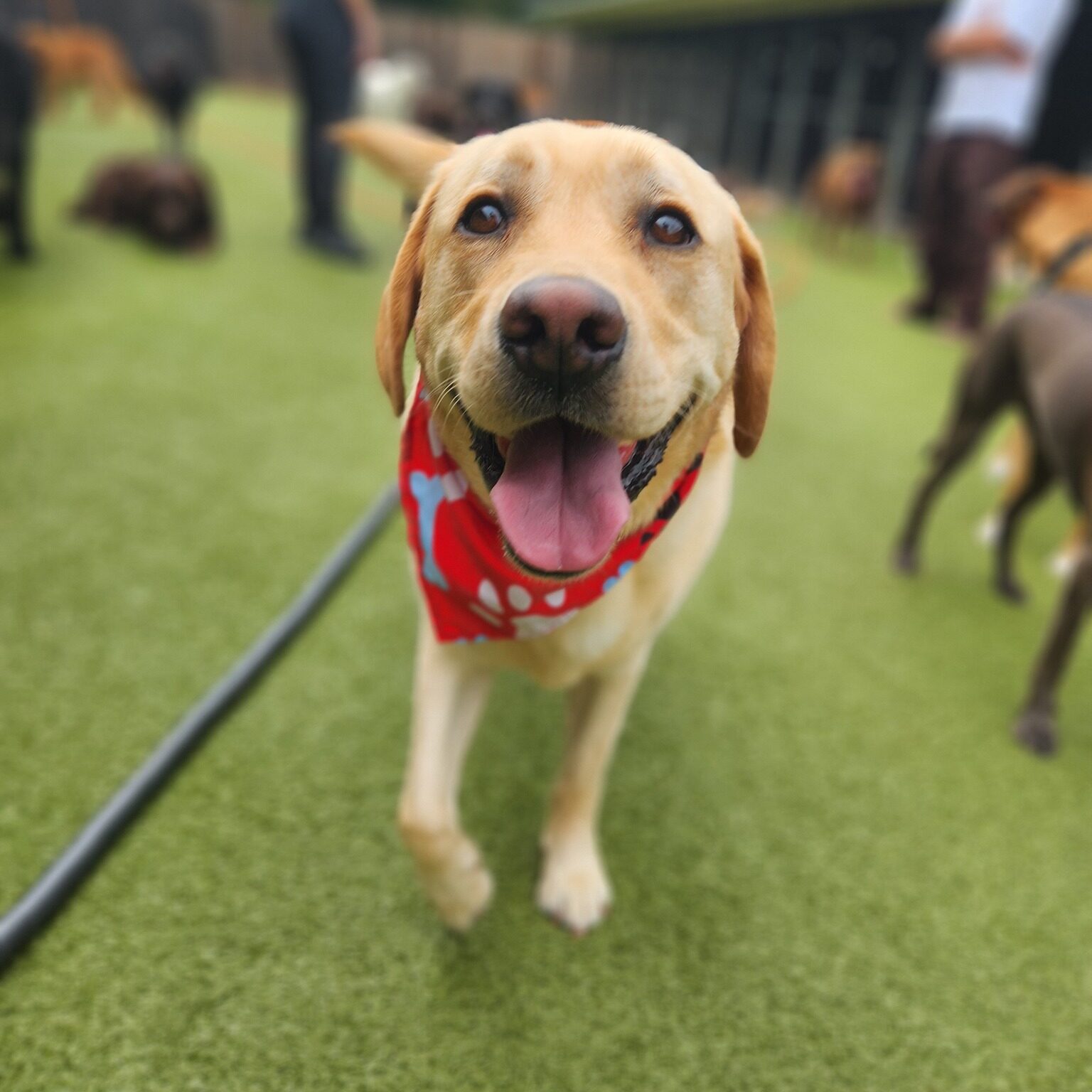 506048529_1138470828298002_5641490320308274343_n