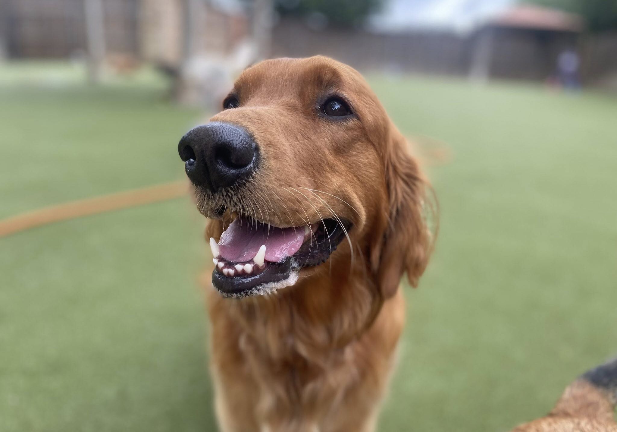 506210736_1139157241562694_2224449137406073412_n